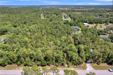 2760 Wilson Blvd N, Rural Estates, FL 34120 - photo 6