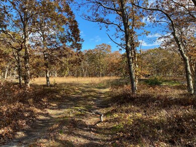 11 Brown Rd, Edgartown, MA 02539 - photo 3