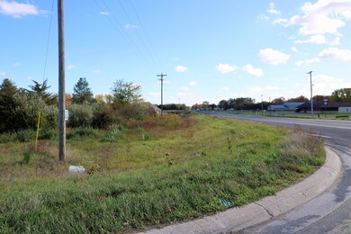 Lot A Blackmer Rd, Carson City, MI 48811 - photo 3