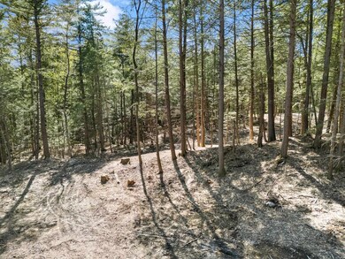 0 Old Ledge Rd unit 4950217, Westminster, VT 05346 - photo 5