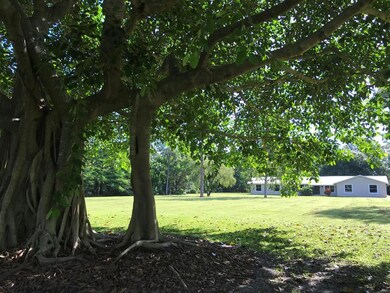 IMG_2719 - Copy