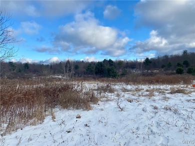 0 County Route 4 unit S1652795, Palermo, NY 13069 - photo 3