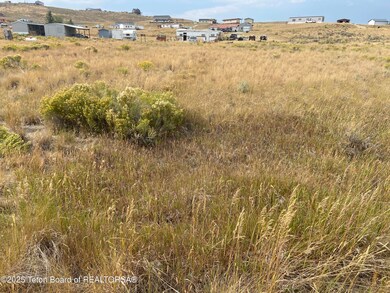 167 Meadow Lark Ln, Boulder, WY 82923 - photo 5