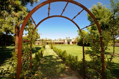 Mature Trees and Specimen Plants