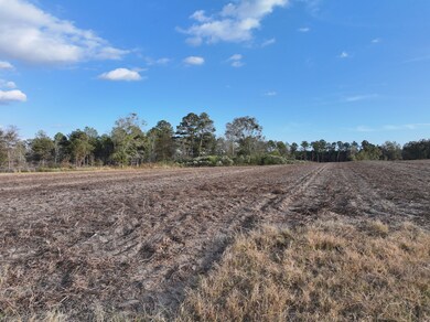 963 Vinson Rd, Meigs, GA 31765 - photo 7