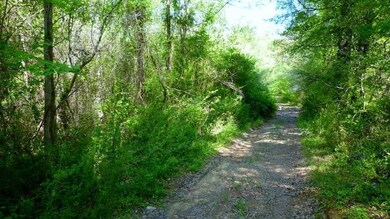 39.11 Acres Lone Oak Rd unit 39.11 Acres Lone Oak, Anderson, SC 29621 - photo 3