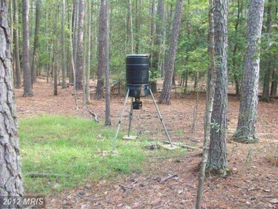 2213 Andrews Rd, Crapo, MD 21626 - photo 7