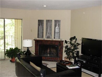 Living area with fireplace