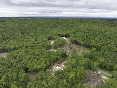 39 Josephine Way, Tolland, CT 06084 - photo 6