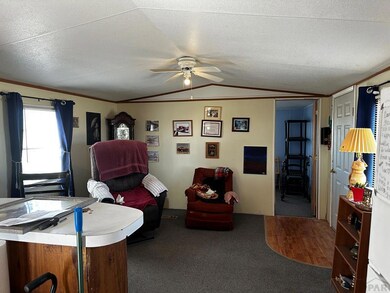 306 E 1st St, Hasty, CO 81044 - photo 5