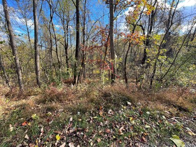 0 Hickory Falls Rd unit 361693, Blue Ridge, VA 24064 - photo 7