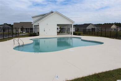 413 Copperwood Loop unit Lot 35, Hemlock, Conway, SC 29526 - photo 4