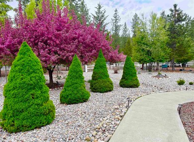 315 Palmer Ln, Chewelah, WA 99109 - photo 5