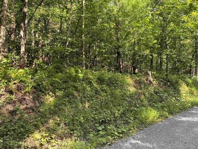 TBD Joe Gibson Rd, Newburg, WV 26410 - photo 4