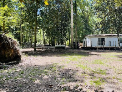 1169 Old Bumpy Rd, Capitola, FL 32317 - photo 7