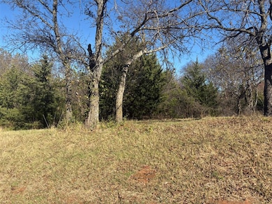 0000 308th St, Norman, OK 73072 - photo 3