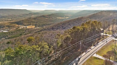 0 Brow Lot 1 2 13 Rd unit 1525572, Trenton, GA 30752 - photo 4