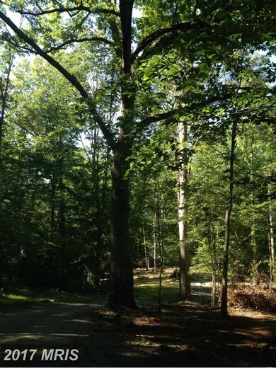 1539 Brooke Rd, Stafford, VA 22554 - photo 4