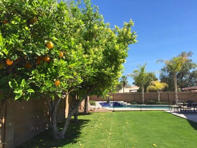 5134 W Geronimo St, Chandler, AZ 85226 - photo 4