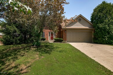 002-1213springrunrd7.23.19-highrez-SMALL