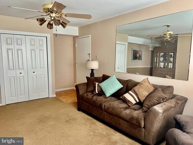 824 South Ave unit P3, Secane, PA 19018 - photo 2