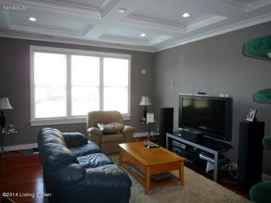 living room windows