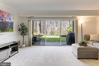 11618 Vantage Hill Rd unit 1A, Reston, VA 20190 - photo 3