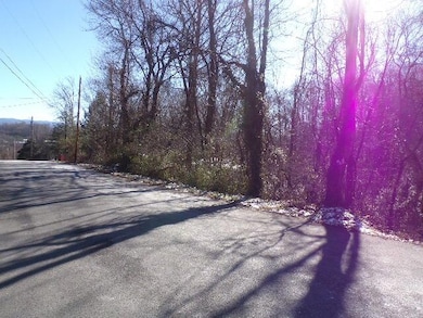 1404-1406 Stoneybrook Dr, Johnson City, TN 37601 - photo 5