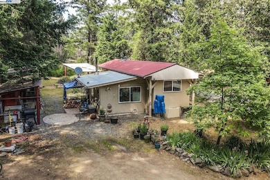 2940 Dutch Creek Rd, Junction City, CA 96048 - photo 5