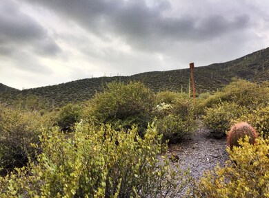 Mountains, Lush Desert