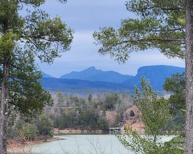 Close up of Grandfather Mountain