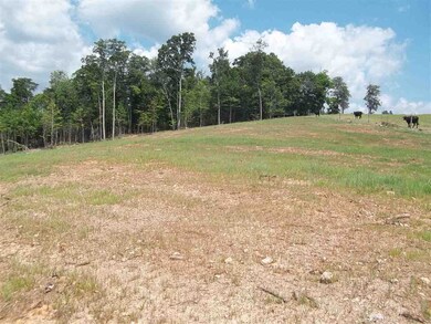 0 Morgan Rd, Rutledge, TN 37861 - photo 7