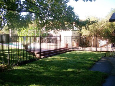back lawn & pool