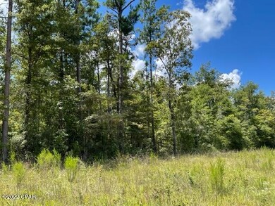 0 Skyview Rd unit 762410, Marianna, FL 32446 - photo 7