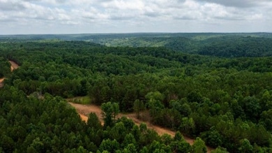 0 Old Mail Rd unit 24835045, Duck River, TN 38454 - photo 3