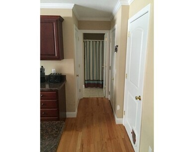 19 Wing St, Springfield, MA 01151 - photo 5