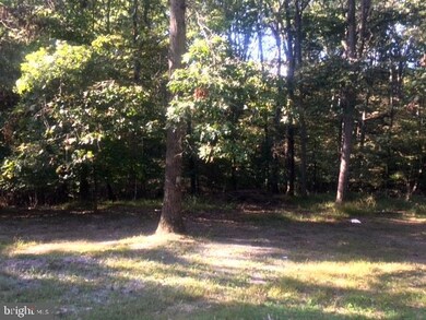 366 Little Creek Trail, Berkeley Springs, WV 25411 - photo 5