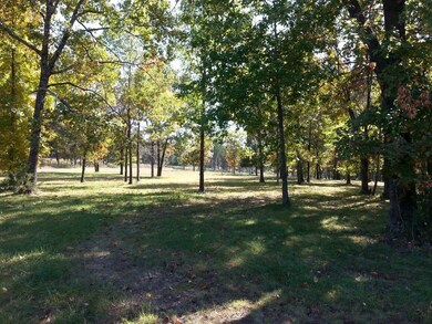 Lot 266 Little Aunts Creek, Kimberling City, MO 65686 - photo 4