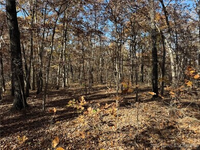 54 Acres Whitetail Way, Cole Township, MO 65338 - photo 5