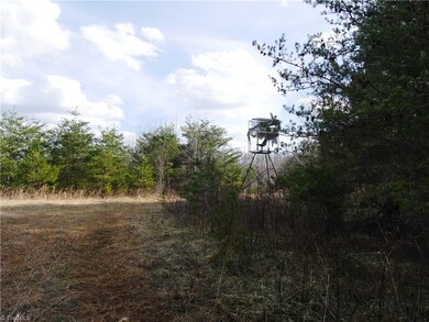 0 Wheeler Smith Rd unit 916553, Sandy Ridge, NC 27046 - photo 4