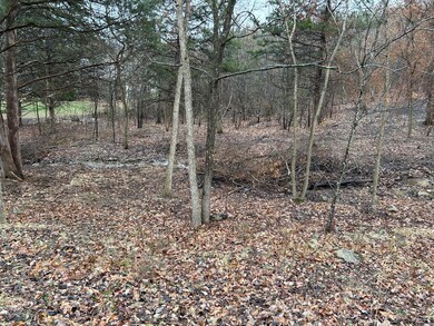 Lot 15 N Wilderness Trail, Kimberling City, MO 65686 - photo 3