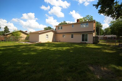 backyard (1)