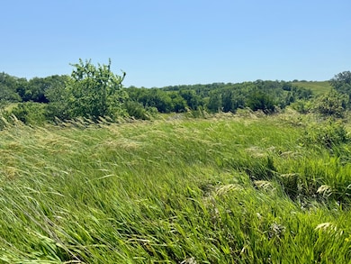 51152 Clarke-Lucas Ave, Lucas, IA 50151 - photo 4