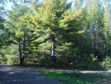 Corner of the property at Maple...