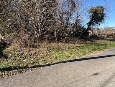 2009 Elm St, Lynchburg, VA 24504 - photo 2