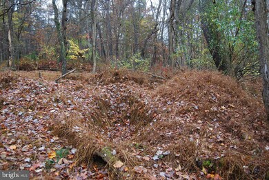 Lot 12 Tall Pines Ln, Berkeley Springs, WV 25411 - photo 4