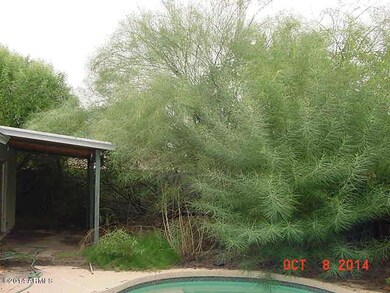 Back Yard 2