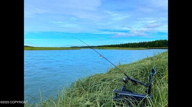 L33 Red Fox Ln, Kasilof, AK 99610 - photo 4