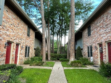 Matured Court Yard