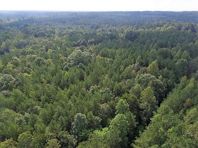 0 Beagle Run Ln, Red Oak, VA 23821 - photo 4